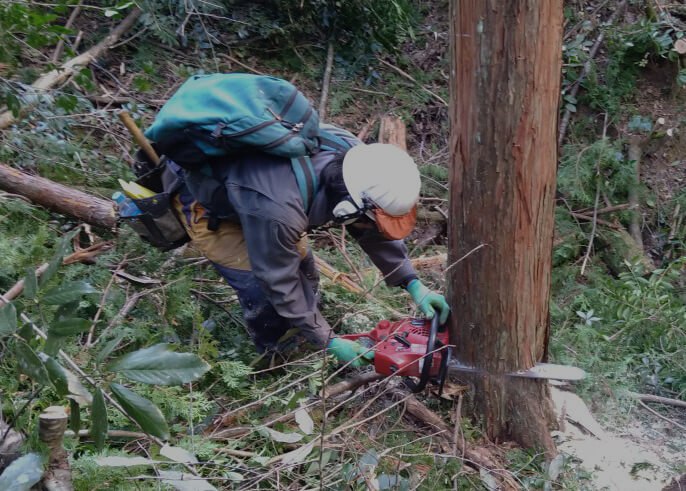 山で働く山師の仕事とは